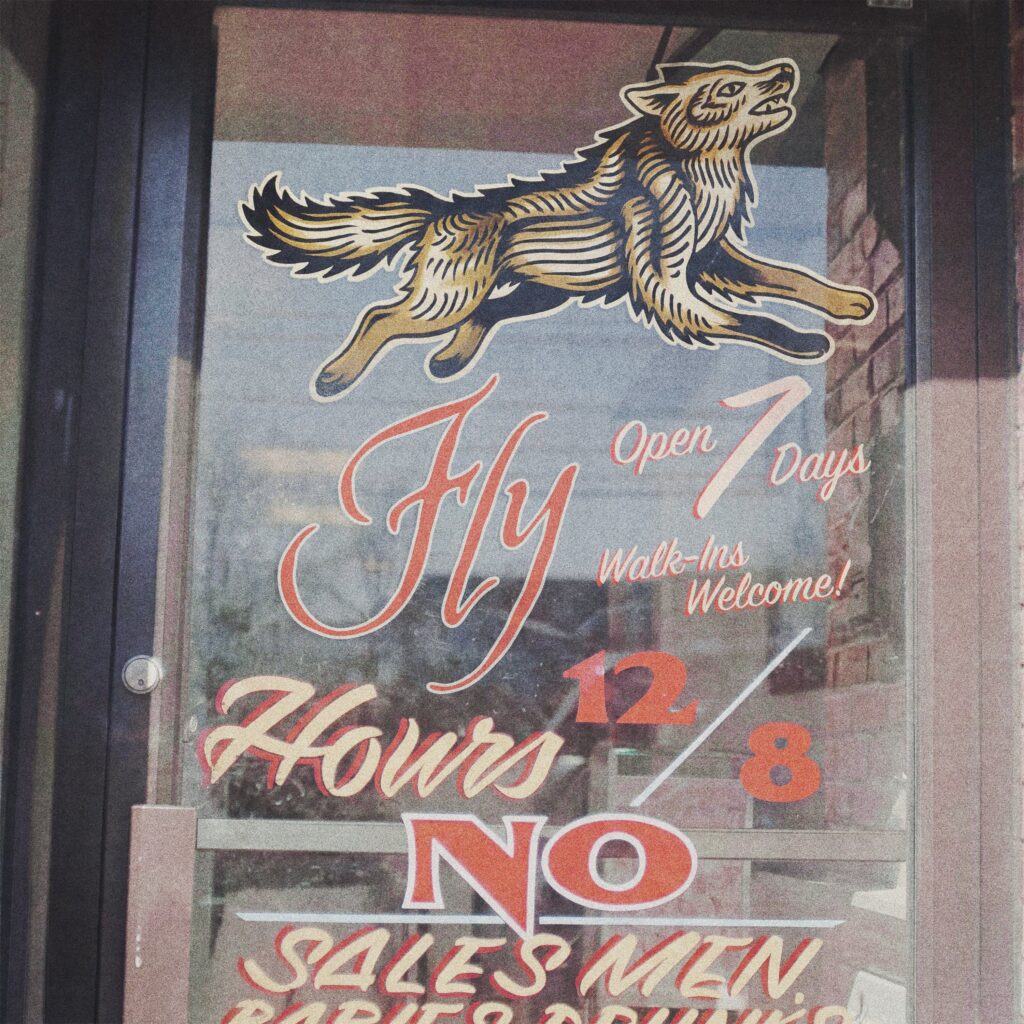 Stephen Stanley – Fly